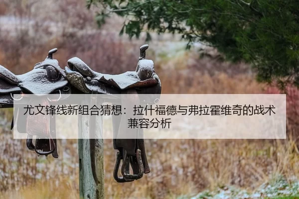 you-wen-feng-xian-xin-zu-he-cai-xiang-la-shen-fu-de-yu-fu-la-huo-wei-qi-de-zhan-shu-jian-rong-fen-xi-2-169.jpg